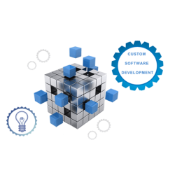 Custom Software Development