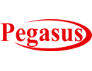 Pegasus